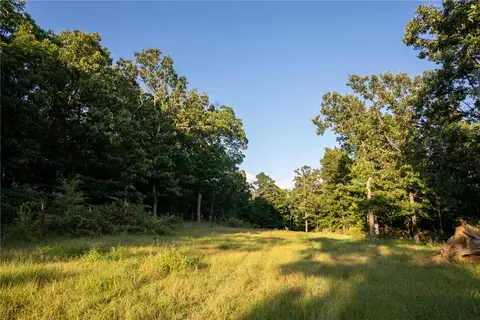Nc 1650, Harrison, AR 72601 photo 12