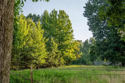 Nc 1650, Harrison, AR 72601 photo 5