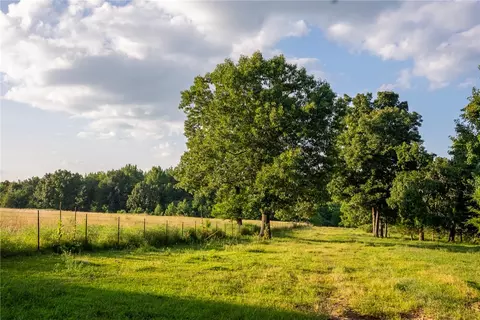 Nc 1650, Harrison, AR 72601 photo 3