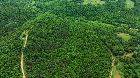 Twin Fork Drive, Harrison, AR 72601 photo 2
