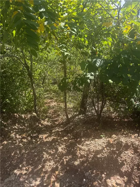 tbd Cardinal Ln, Diamond City, AR 72644
