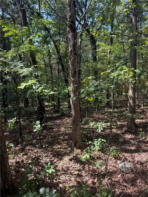 tbd Larchwood Dr, Diamond City, AR 72644