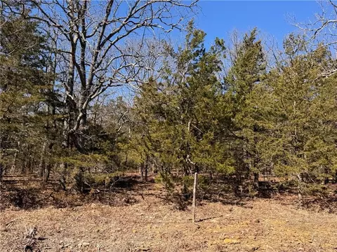 9550 Dunkard Rd, Harrison, AR 72601 photo 7