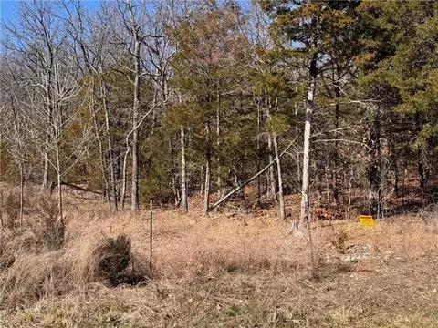 9550 Dunkard Rd, Harrison, AR 72601 photo 5
