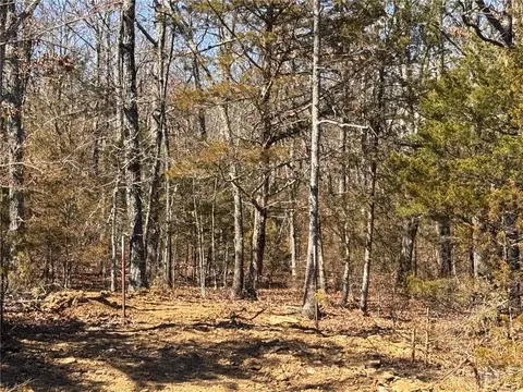 9550 Dunkard Rd, Harrison, AR 72601 photo 11