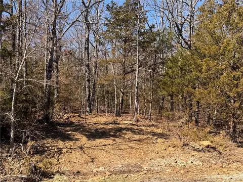 9550 Dunkard Rd, Harrison, AR 72601 photo 12