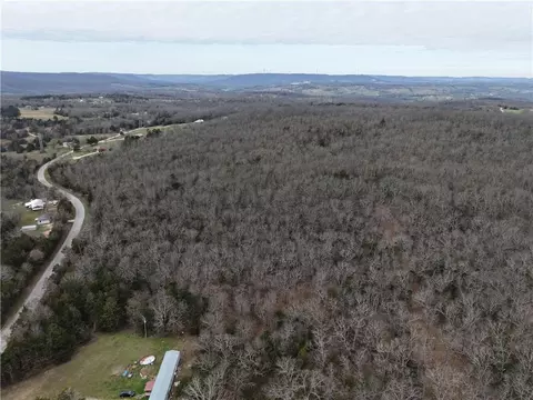 9550 Dunkard Rd, Harrison, AR 72601 photo 3