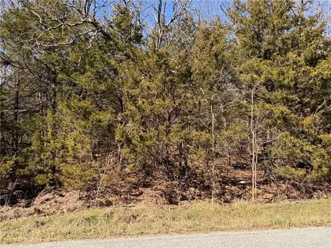 9550 Dunkard Rd, Harrison, AR 72601 photo 9