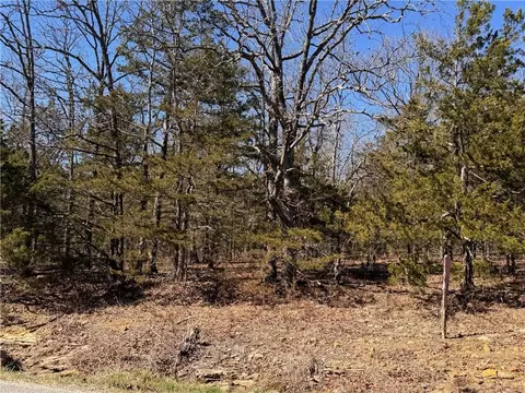 9550 Dunkard Rd, Harrison, AR 72601 photo 6
