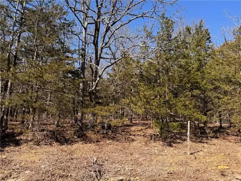9550 Dunkard Rd, Harrison, AR 72601 photo 8