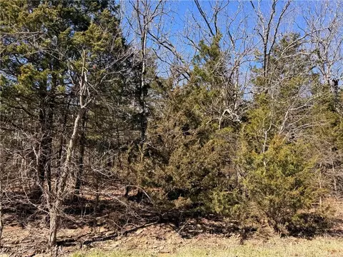 9550 Dunkard Rd, Harrison, AR 72601 photo 10