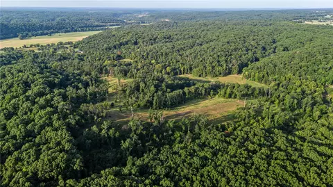 681 825 Windwalker, Goodman, MO 64843 photo 49