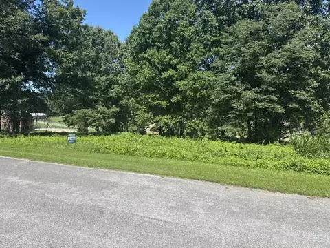 4019 Savannah Dr, Harrison, AR 72601 photo 5
