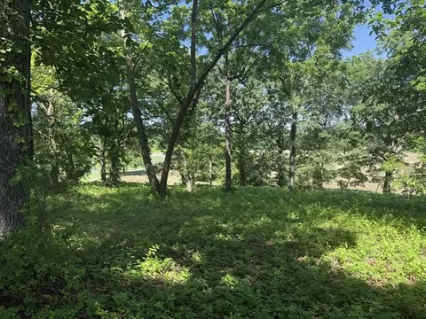 4019 Savannah Dr, Harrison, AR 72601 photo 9