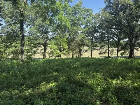 4019 Savannah Dr, Harrison, AR 72601 photo 10