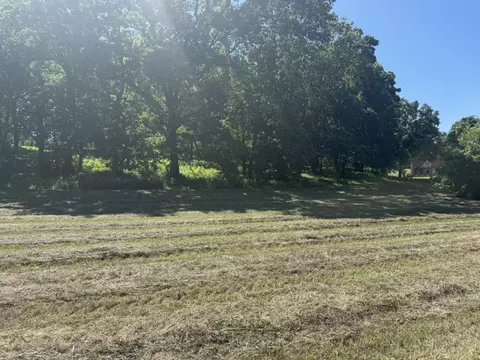 4019 Savannah Dr, Harrison, AR 72601 photo 3