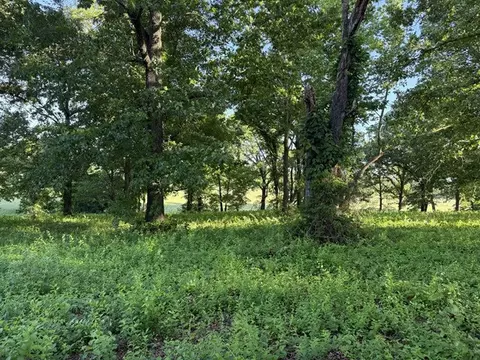 4019 Savannah Dr, Harrison, AR 72601 photo 7