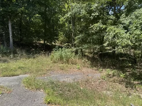 10 Pine Ln, Holiday Island, AR 72631