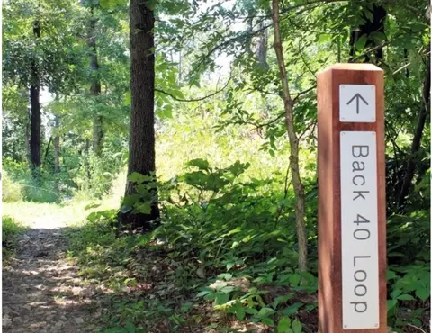 tbd Clivenden Ln, Bella Vista, AR 72714
