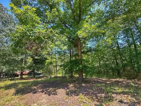 Exterior - 877 Beaumont Beach Rd, Dover, AR 72837 photo 8 of 10