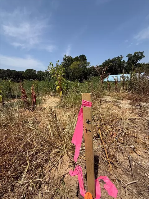 lot1 Little St, Seligman, MO 65745