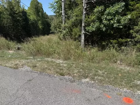 13 White River Ln, Holiday Island, AR 72631