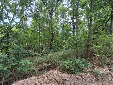 tbd County Road 517, Berryville, AR 72616