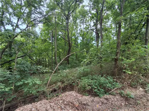 tbd County Road 517, Berryville, AR 72616
