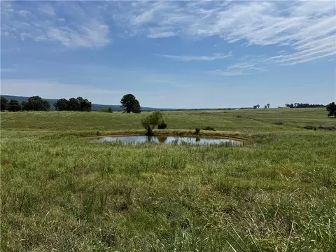 tbd Tract 2 Llewellyn Loop, Hector, AR 72843