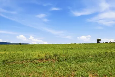 tbd Tract 1 Pine St, Hector, AR 72843
