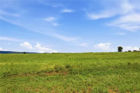 tbd Tract 1 Pine St, Hector, AR 72843