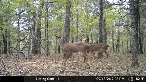 80 Acres Mc 164, Peel, AR 72668