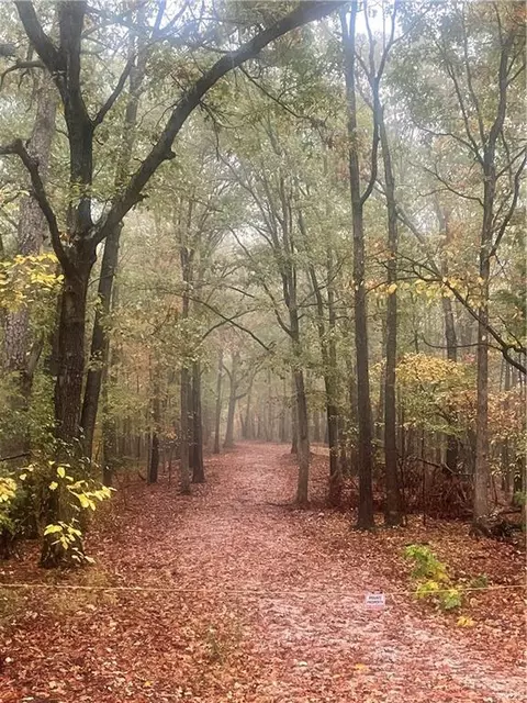 172 Saint Simons Ln, Eureka Springs, AR 72632
