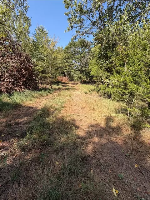 tbd N Hwy 244, Summers, AR 72769 photo 6