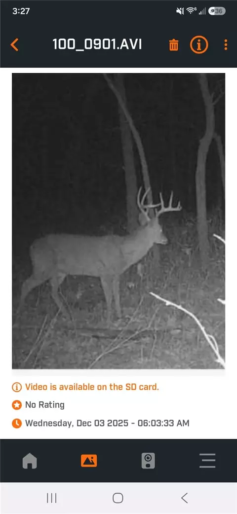 tbd N Hwy 244, Summers, AR 72769 photo 10