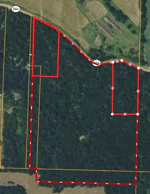 tbd N Hwy 244, Summers, AR 72769 photo 12