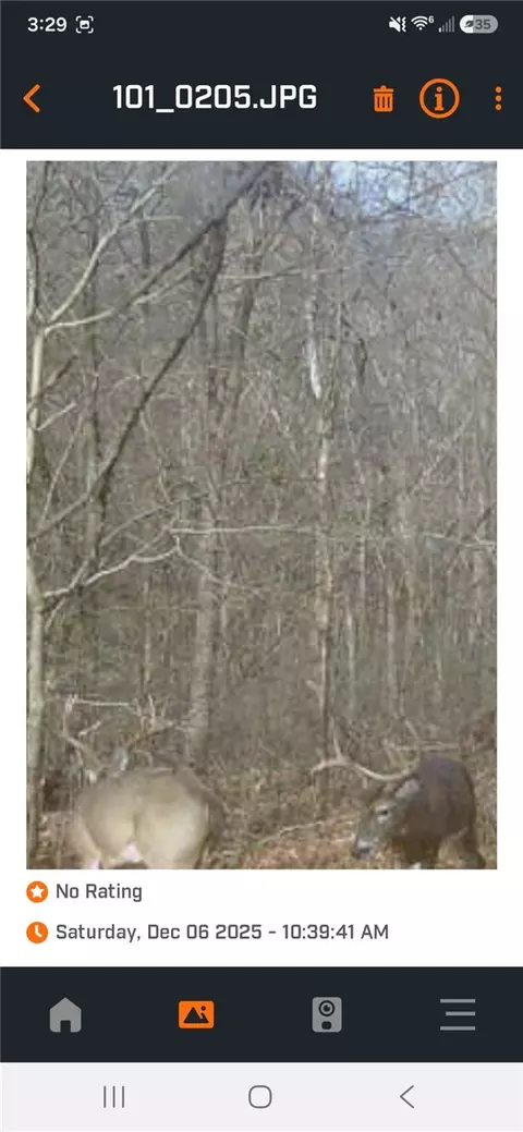 tbd N Hwy 244, Summers, AR 72769 photo 7