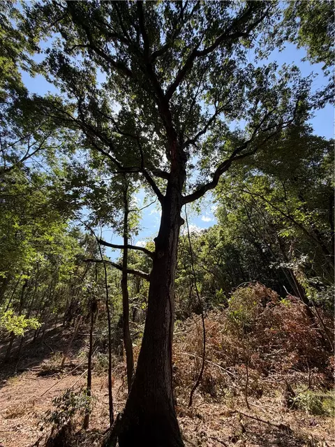 tbd N Hwy 244, Summers, AR 72769 photo 3