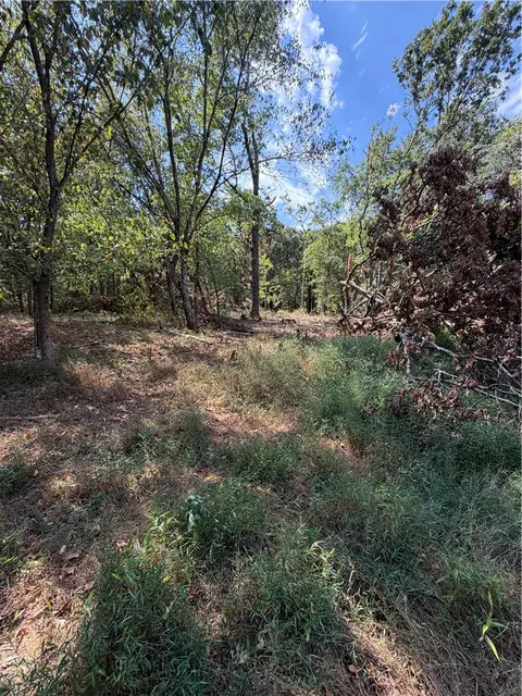 tbd N Hwy 244, Summers, AR 72769 photo 5