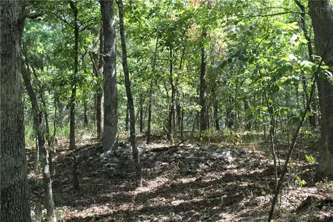 163 Acres Low Gap Rd, West Fork, AR 72774 photo 35
