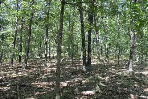 163 Acres Low Gap Rd, West Fork, AR 72774 photo 36