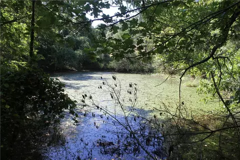 163 Acres Low Gap Rd, West Fork, AR 72774 photo 20