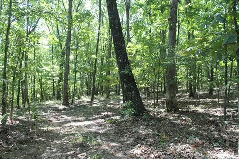 163 Acres Low Gap Rd, West Fork, AR 72774 photo 26