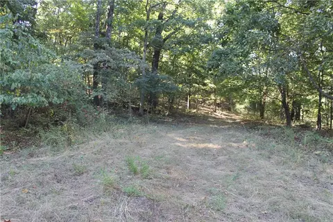 163 Acres Low Gap Rd, West Fork, AR 72774 photo 17