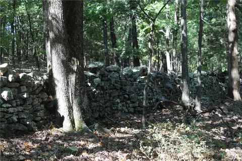163 Acres Low Gap Rd, West Fork, AR 72774 photo 19