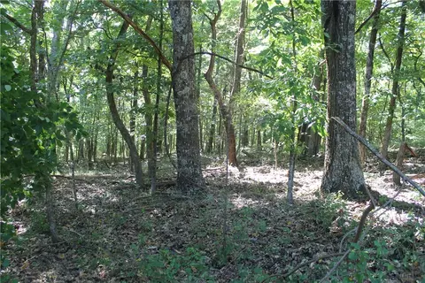 163 Acres Low Gap Rd, West Fork, AR 72774 photo 25