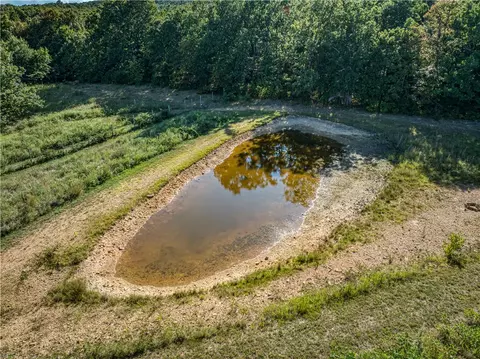 View/Area - 1779 Nc 1600, Compton, AR 72624 photo 1 of 5