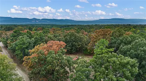 4716 River Mountain Rd, Delaware, AR 72835 photo 9