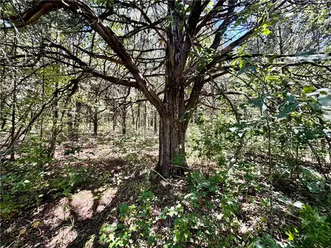 tbd Madison 3105, Witter, AR 72776 photo 22