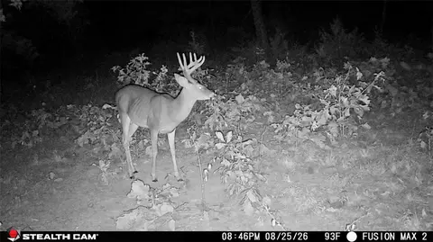 tbd Madison 3105, Witter, AR 72776 photo 23